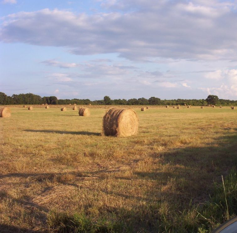 Pray to the Lord of the Harvest