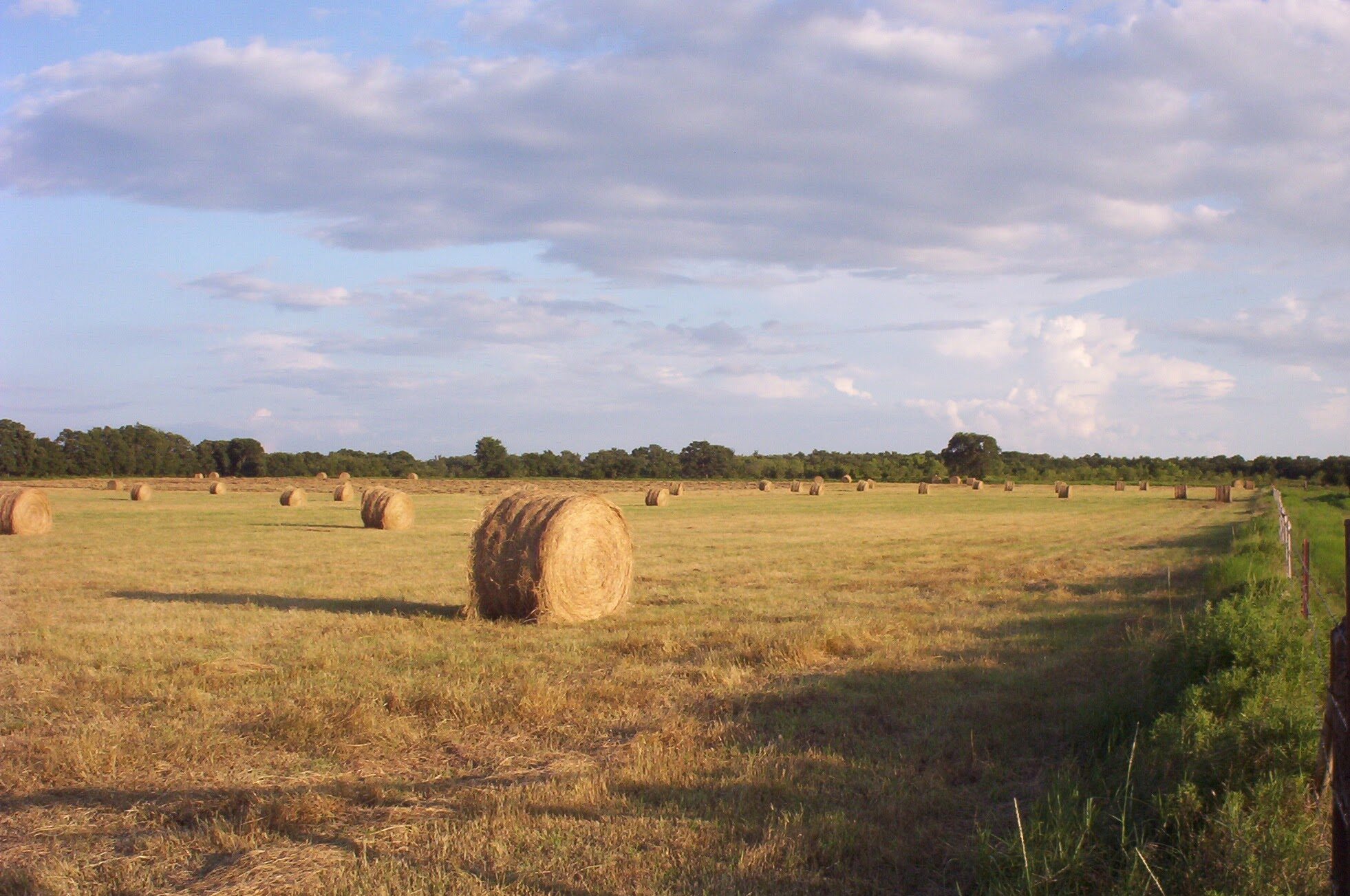 Pray to the Lord of the Harvest
